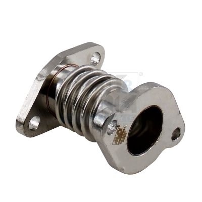 Fiat Leiding, AGR klep