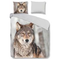 Wendebettwäsche »Wolf«, good morning, mit Tierprint