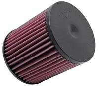K&N vervangingsfilter Audi A8 3.0L TDi 2010-2011 (E-2999)