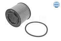 seat Oliefilter 1003220007