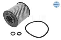 seat Oliefilter 1003220012
