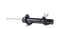 RIDEX Stoßdämpfer 854S1300 Stoßdämpfersatz MINI,MINI R56,MINI R50, R53,MINI CLUBMAN R55,MINI Cabriolet R57,MINI Coupe R58,MINI Roadster R59