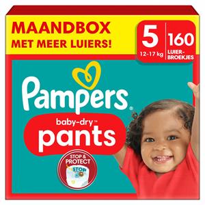 Pampers Windeln Pants Größe 5 (12-17kg) Baby-Dry