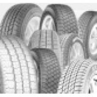 'BF Goodrich' 'BF Goodrich Advantage All-Season (225/55 R16 99H)'