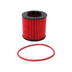 Audi K&N Oliefilter - High Performance-Series passend voor , Seat, Skoda & Volkswagen (HP-7052)