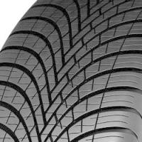 Dunlop All Season 2 (205/55 R16 94V)