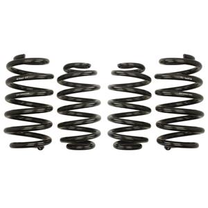 Eibach Verlagingsveer Pro Kit  E10-15-003-05-22