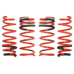 Eibach Ophangset, veren Pro-Kit  E10-24-010-01-22