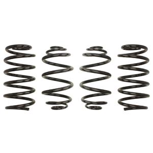 Eibach Verlagingsveer Pro Kit  E10-65-011-02-22