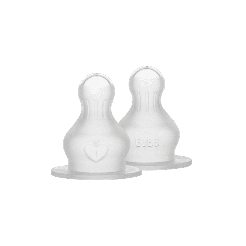 Bibs Flesspeen Siliconen Fast Flow | 2 stuks