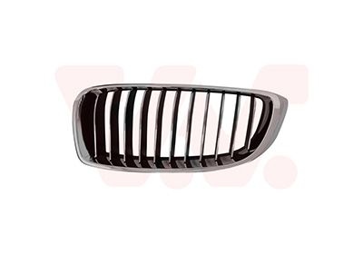 Bmw Grille L. Sierrooster