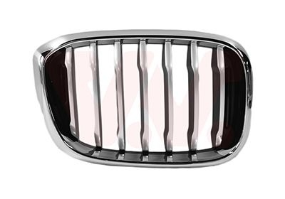 Bmw Grille R. Sierrooster