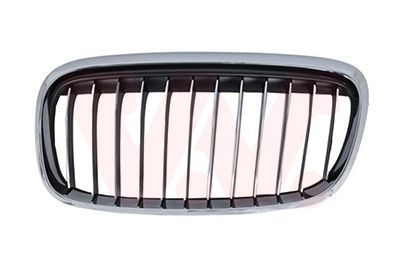 Bmw Grille L. Sierrooster