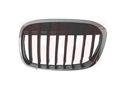 Bmw Grille L. Sierrooster