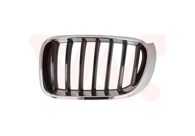 Bmw Grille L. Sierrooster