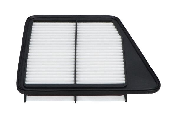 Genesis AMC Filter Lucht