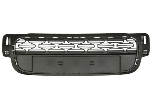 Citroen Radiateurgrille
