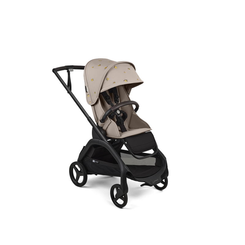 Bugaboo Dragonfly complete