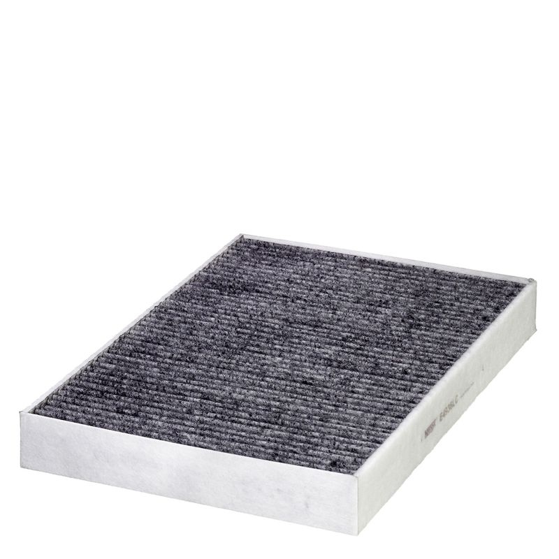 Polestar Interieurfilter