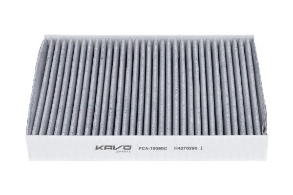 Nissan AMC Filter Interieur Carbon