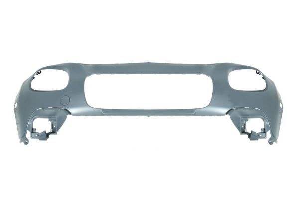 Citroen Bumper