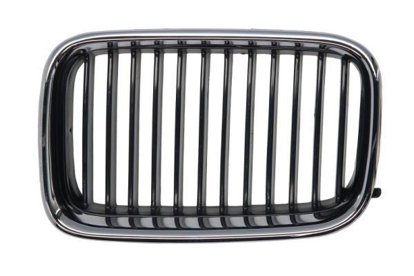Bmw Radiateurgrille