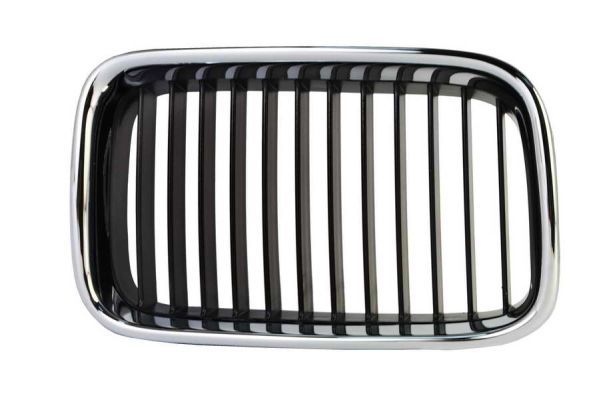 Bmw Radiateurgrille