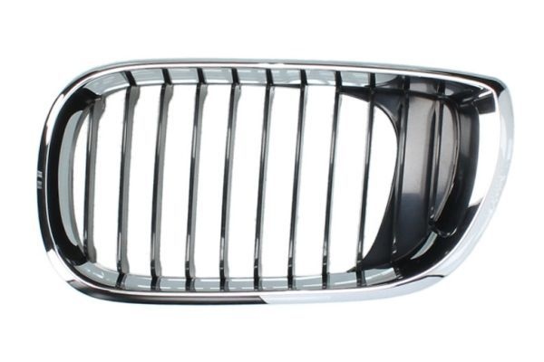Bmw Radiateurgrille