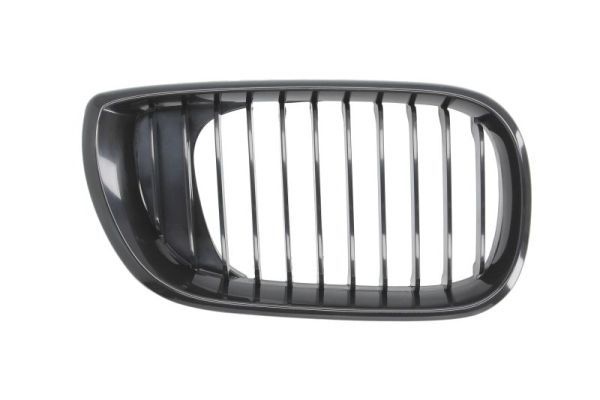 Bmw Radiateurgrille