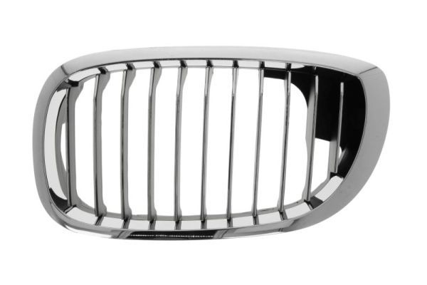 Bmw Radiateurgrille
