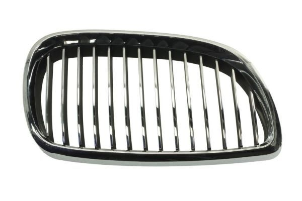 Bmw Radiateurgrille