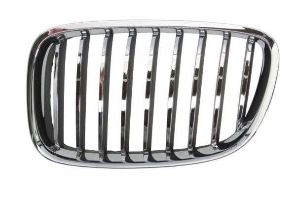 Bmw Radiateurgrille