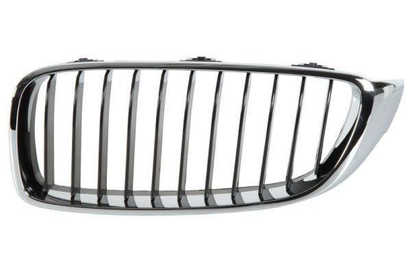Bmw Radiateurgrille