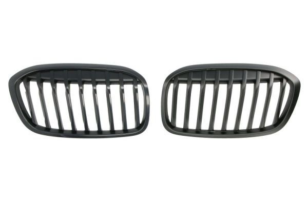 Bmw Radiateurgrille