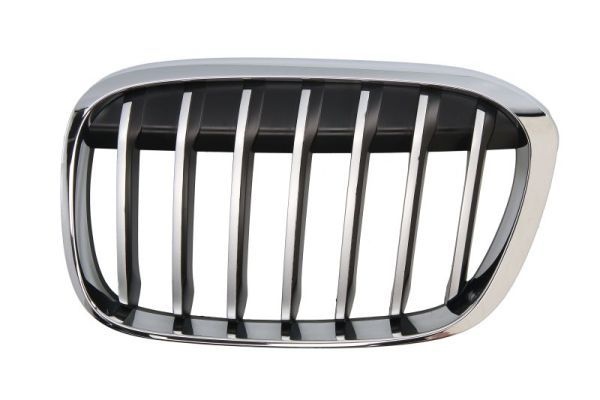 Bmw Ventilatiegrille, bumper