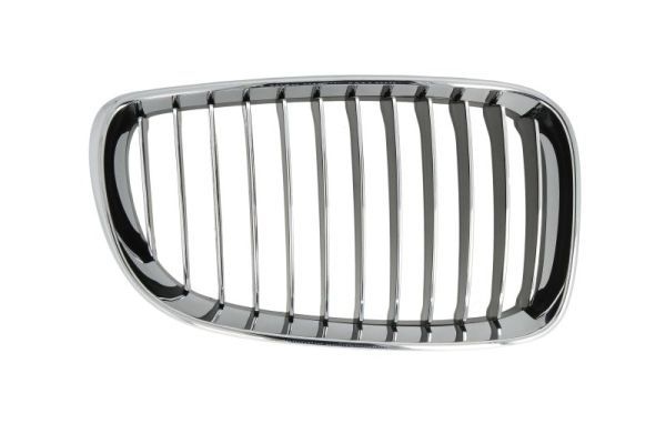 Bmw Radiateurgrille