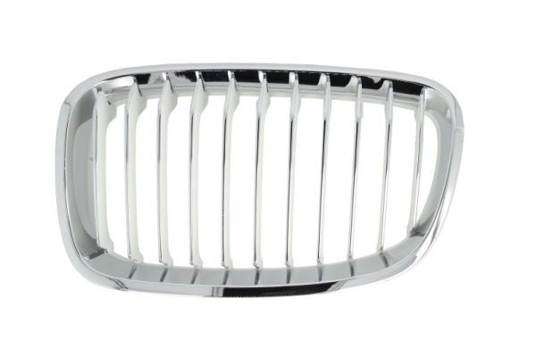 Bmw Radiateurgrille