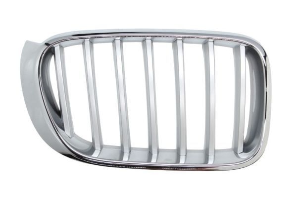Bmw Radiateurgrille