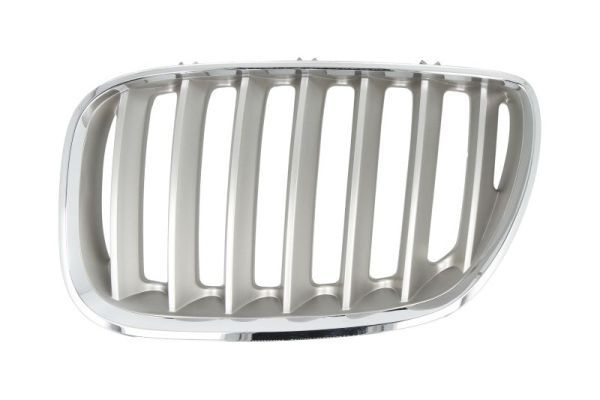 Bmw Radiateurgrille