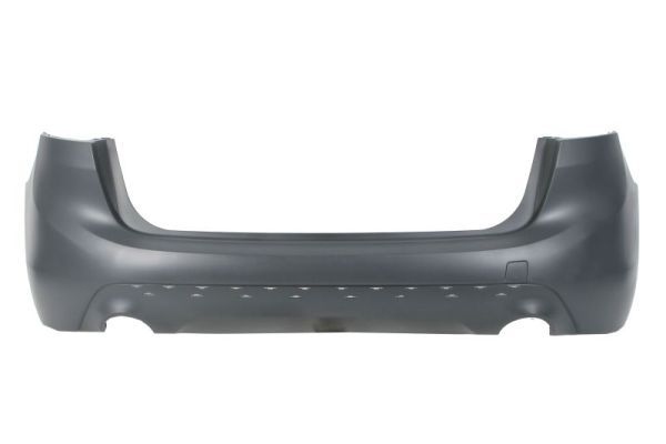 Bmw Bumper