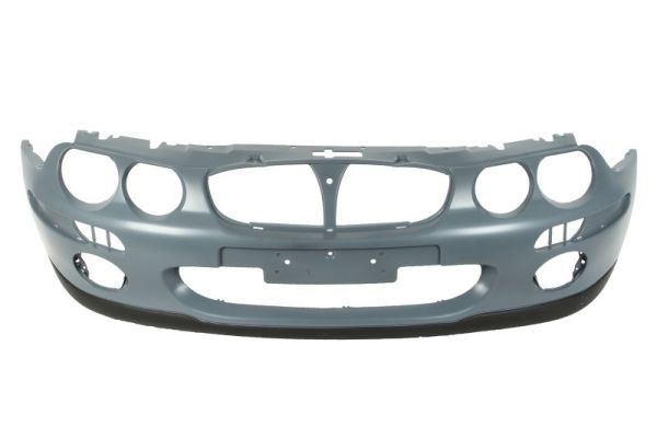 Rover Bumper