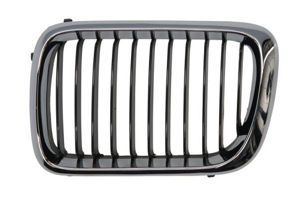 Bmw Radiateurgrille