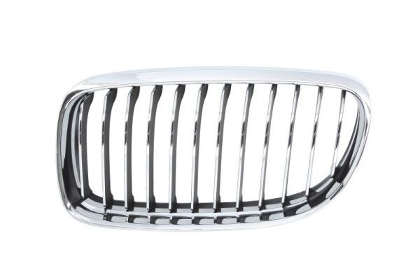 Bmw Radiateurgrille