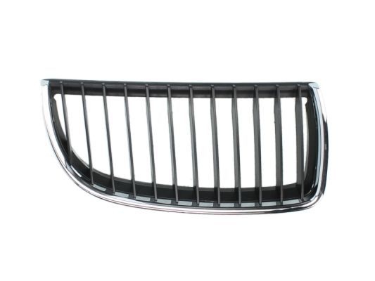 Bmw Radiateurgrille