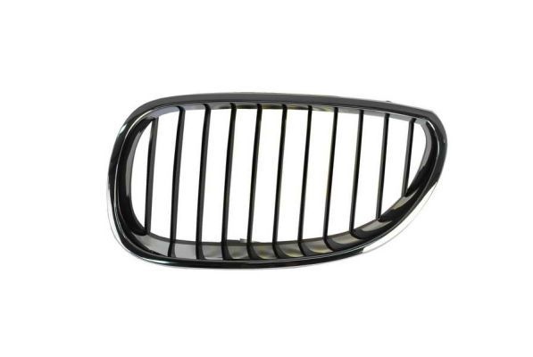Bmw Radiateurgrille