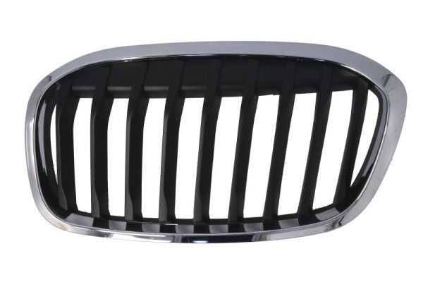 Bmw Radiateurgrille