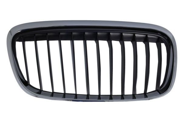 Bmw Radiateurgrille