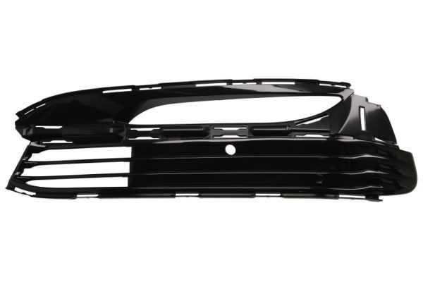 Bmw Ventilatiegrille, bumper