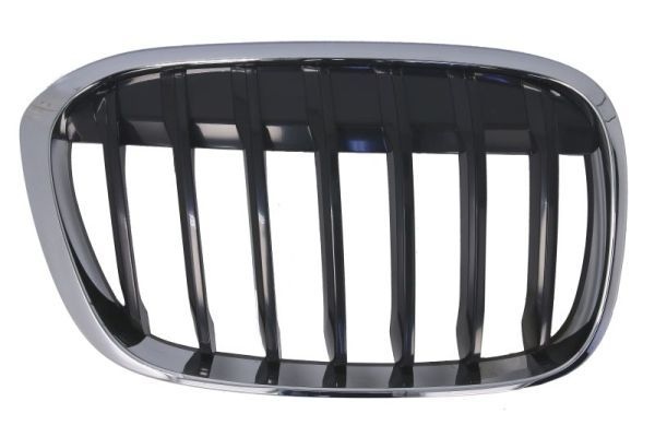 Bmw Radiateurgrille