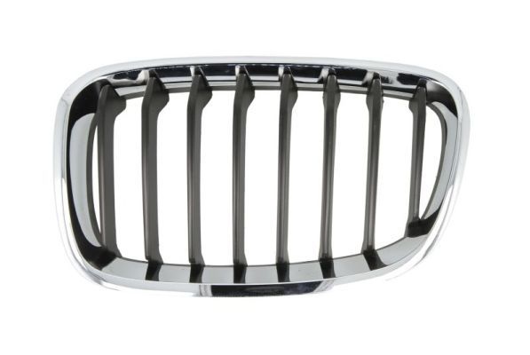 Bmw Radiateurgrille